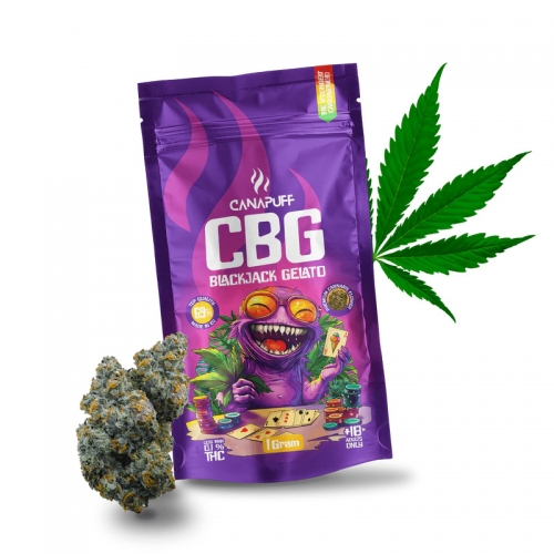 CBG cvetovi Blackjack Gelato 69 %