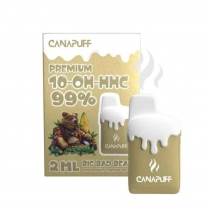 Big Bad Bear 99% 10-OH-HHC - Canapuff - za enkratno uporabo 2 ml