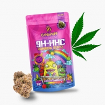 9H-HHC Cvetovi Rainbow Runtz 99 % – Canapuff 1 g